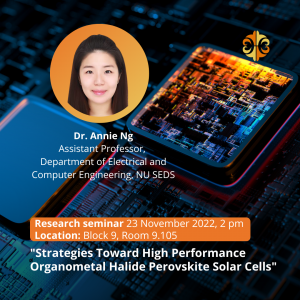 SEDS Research seminars Annie Ng
